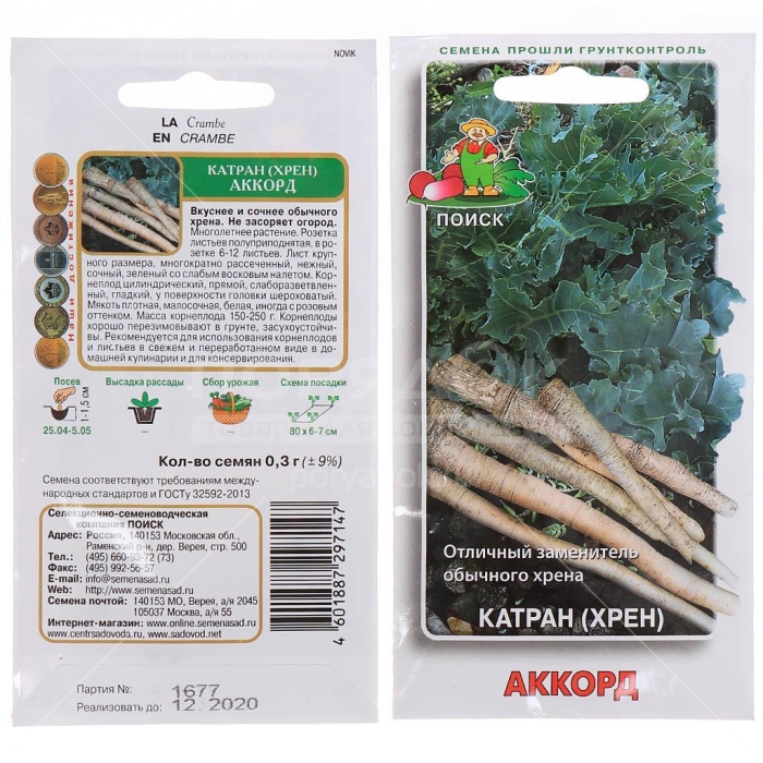 Семена катран