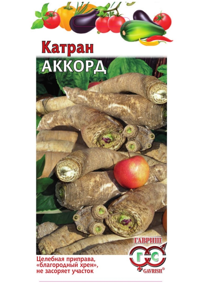 Гавриш катран аккорд