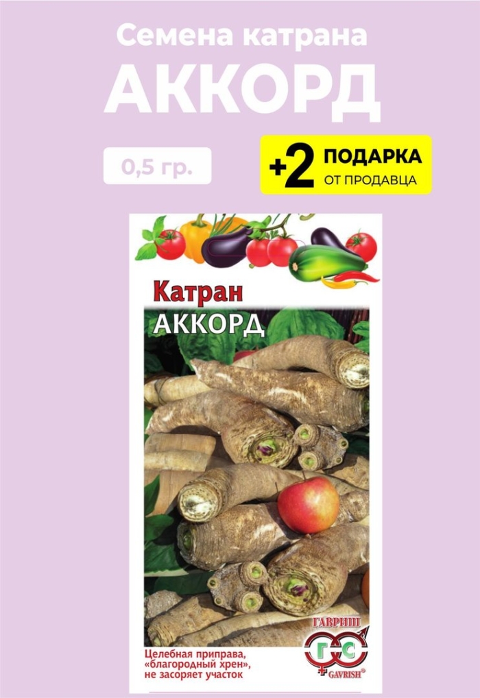 Семена катран аккорд