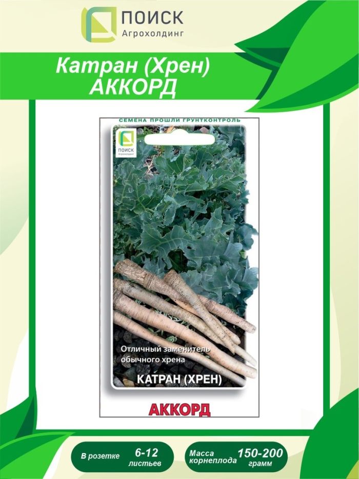 Катран хрен аккорд