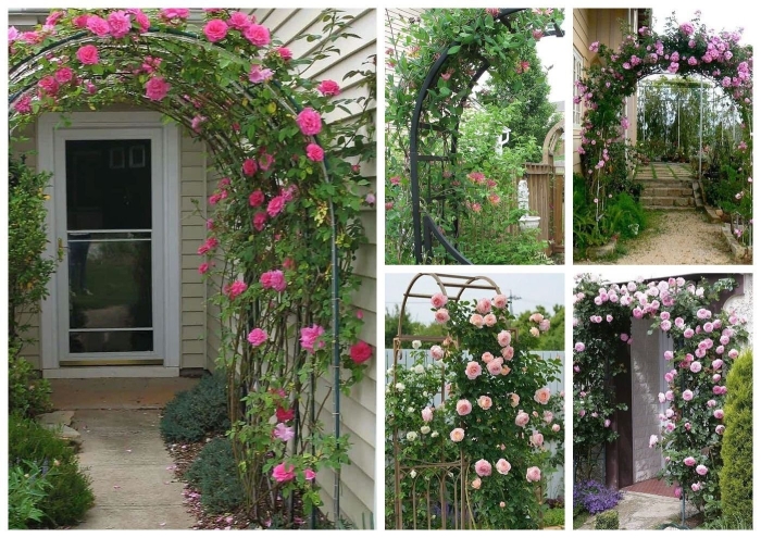 Арка для розы плетистой