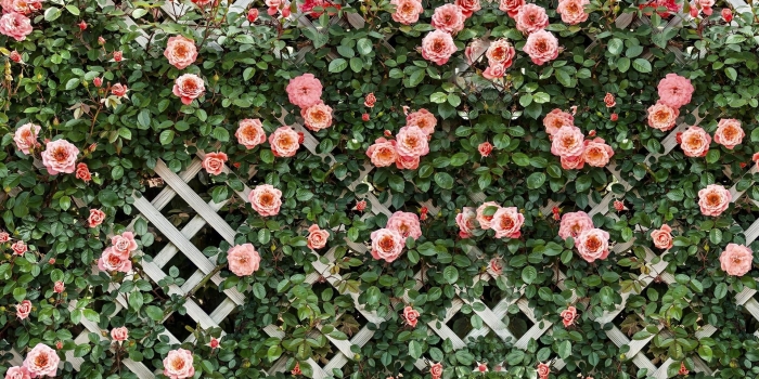 Фотосетка мечта для декора забора