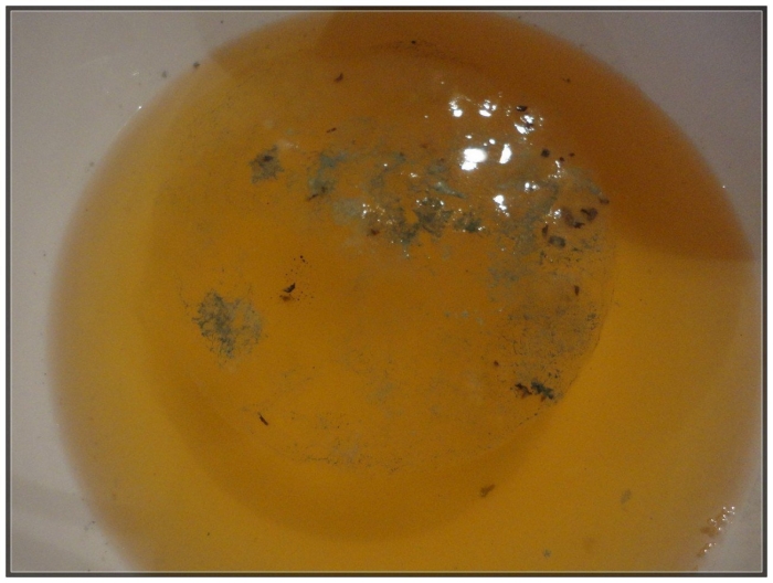 Черная плесень на чайном грибе