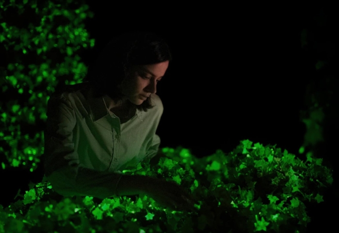 Биолюминесцентные растения