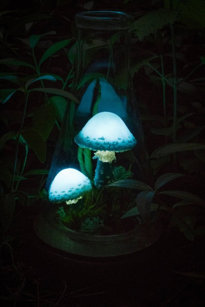 Флюоресценция грибы
