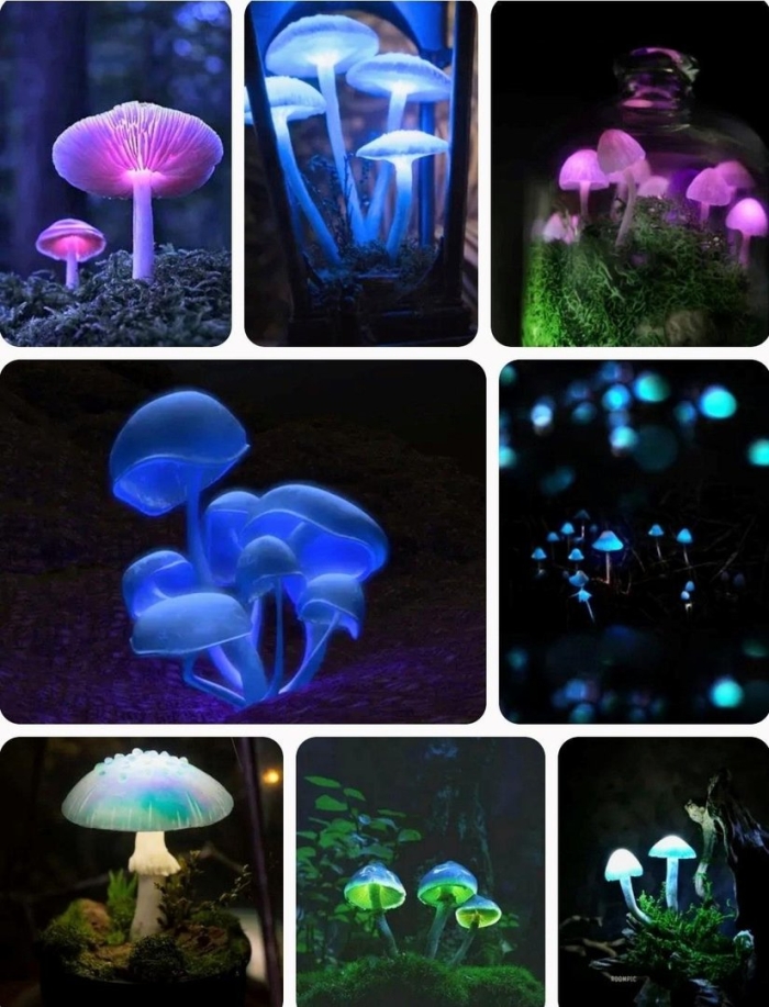 Мицена хлорофос