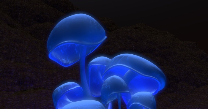 Неоновый гриб