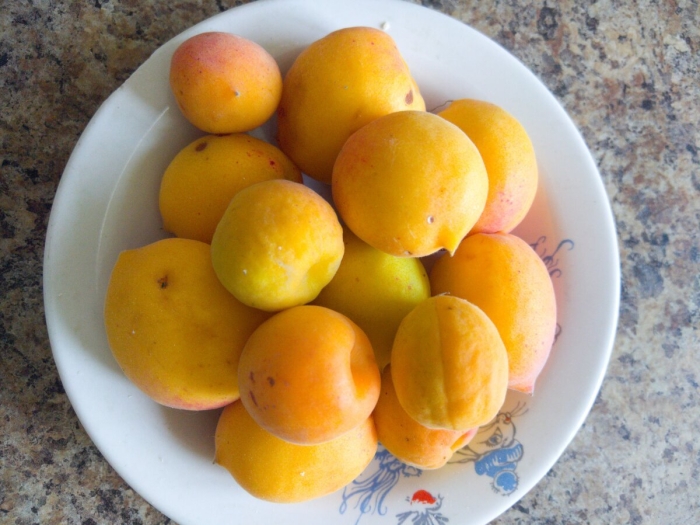 Жердёла и абрикос