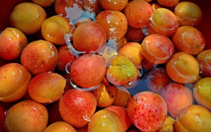 Варенье из абрикоса