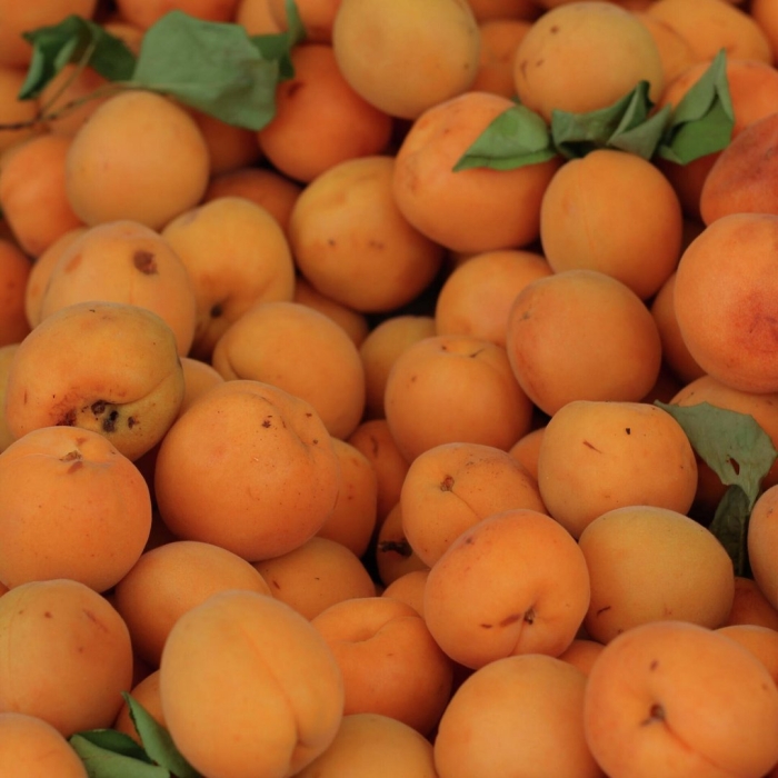 Персик абрикос и жердела