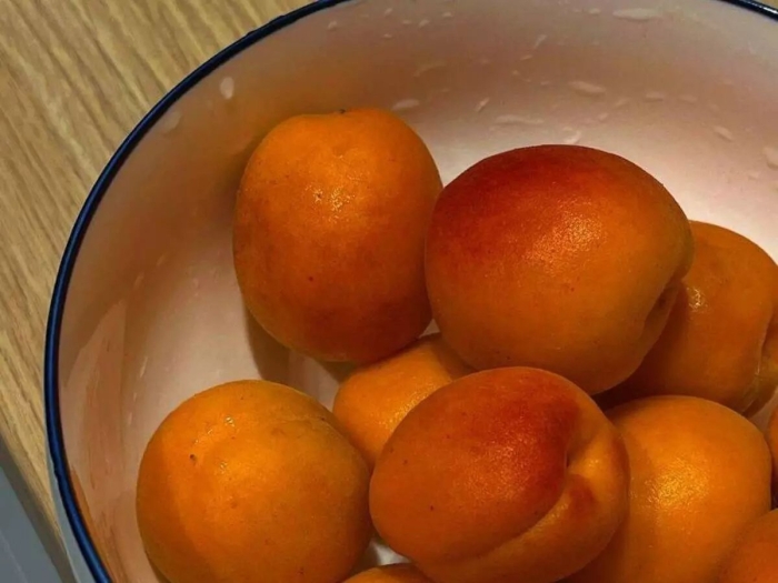 Абрикос персиковый