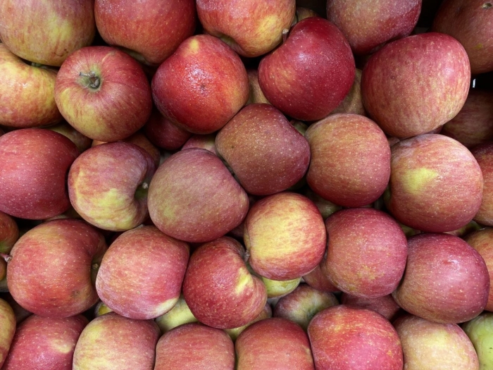 Дикий абрикос жердель