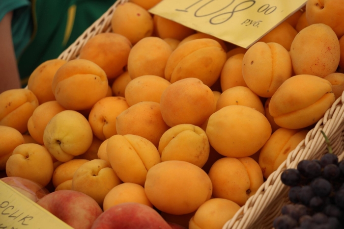 Абрикос обыкновенный