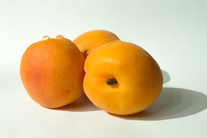 Абрикос дикий жердела