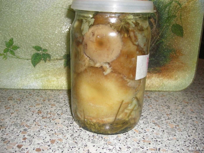 Маринованные волнушки