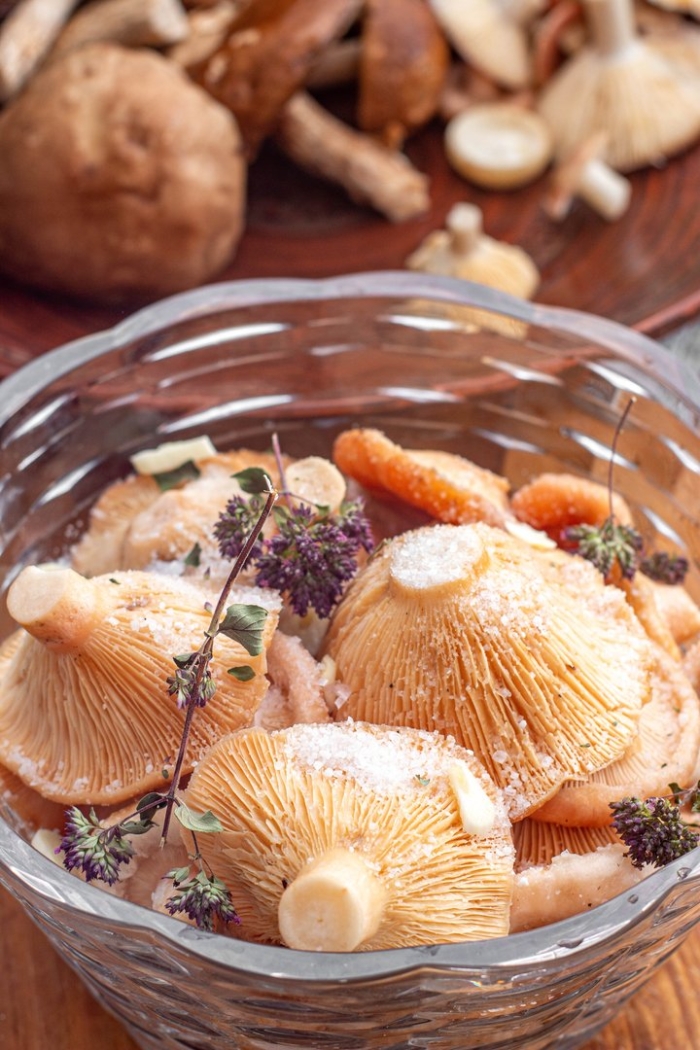 Рыжики грибы царский гриб