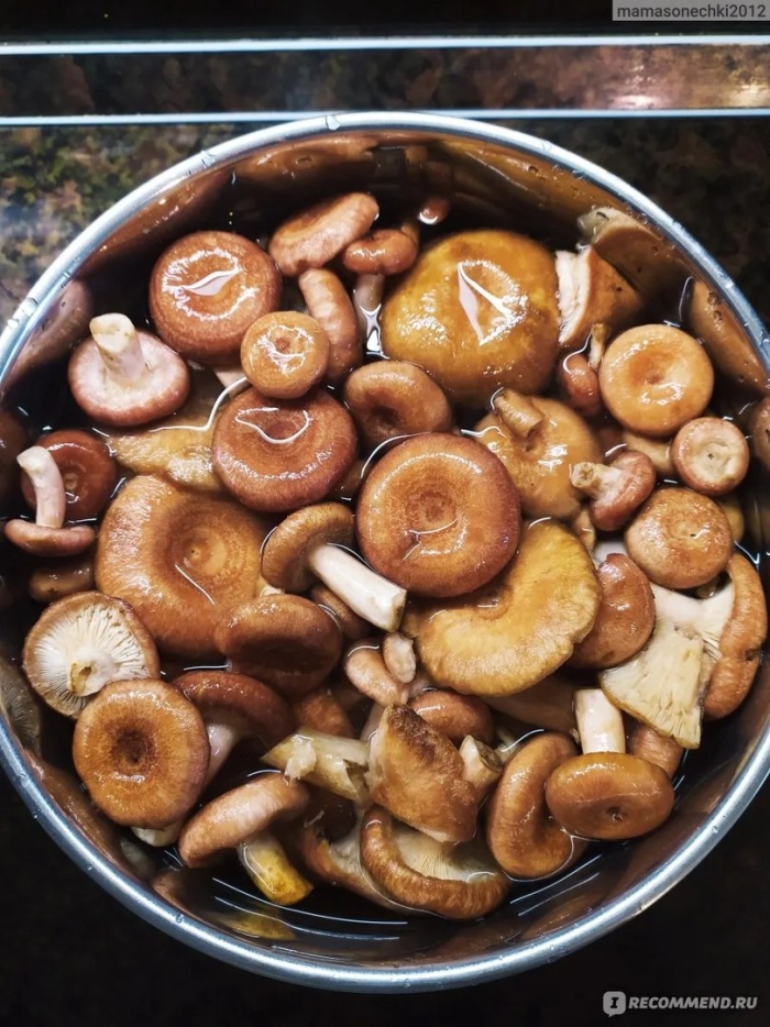 Волнушки грибы приготовление