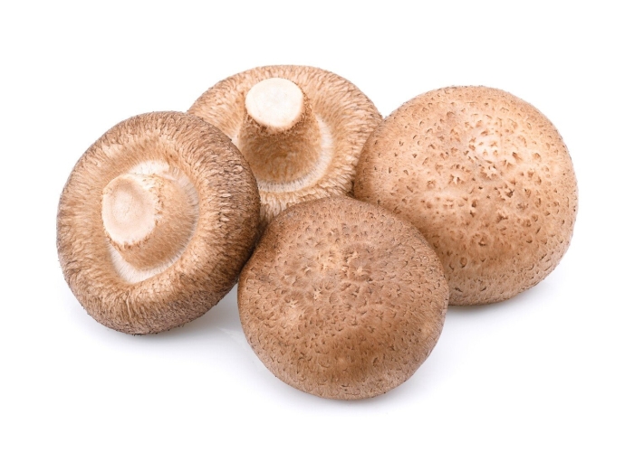 Shiitake mushroom