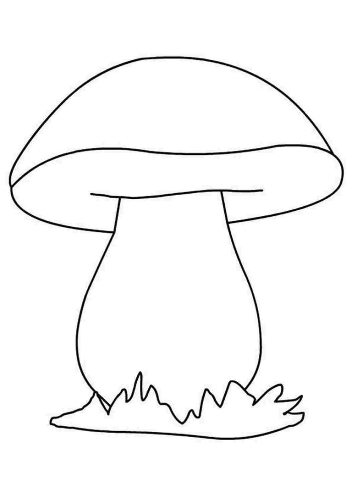 Гриб раскраска для детей