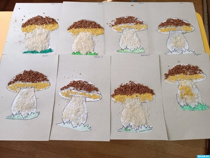 Аппликация грибы старшая группа