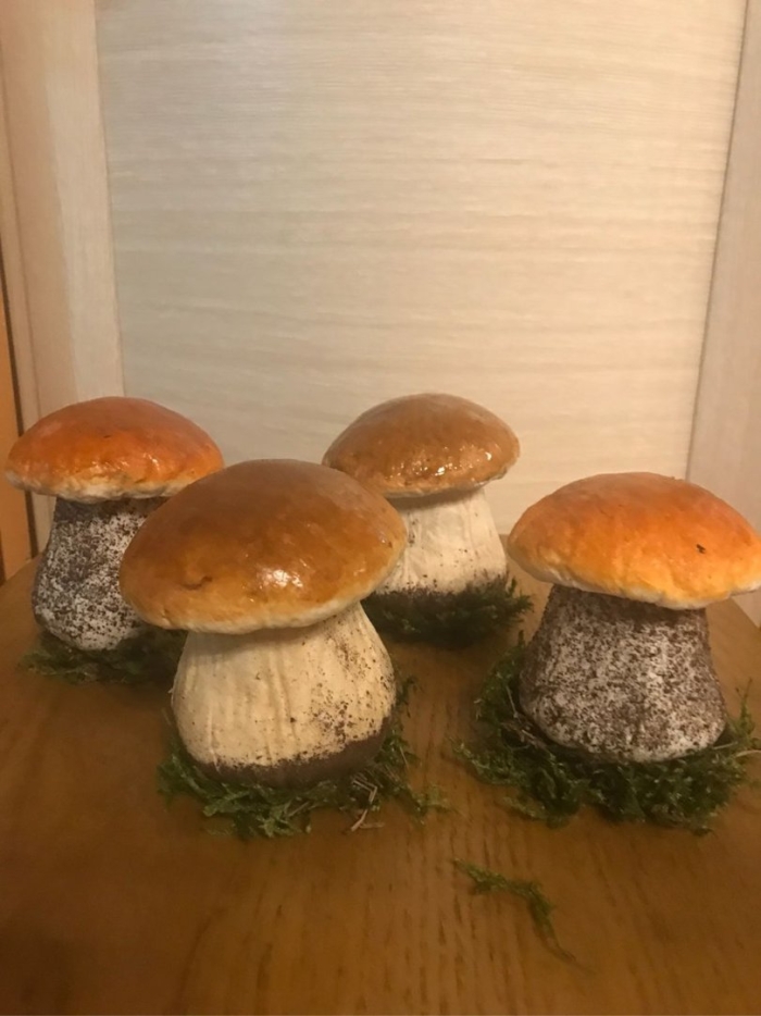 Муляжи грибов