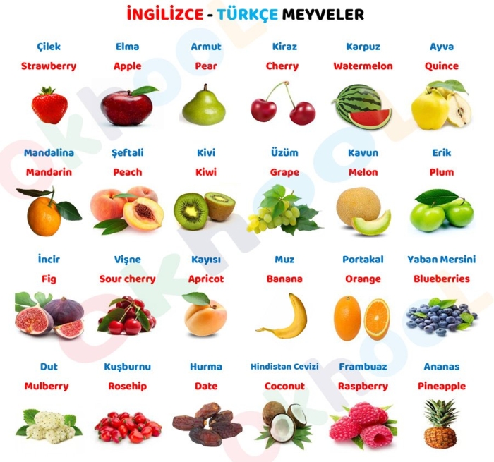 Овощи и фрукты на турецком языке