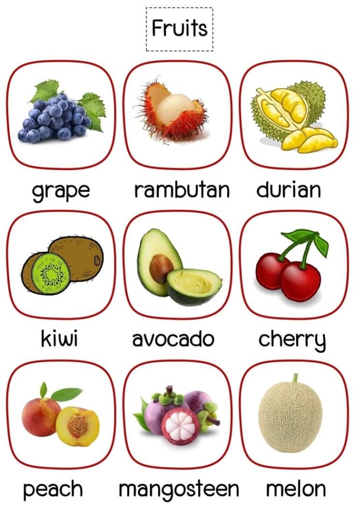 Fruit vocabulary for kids