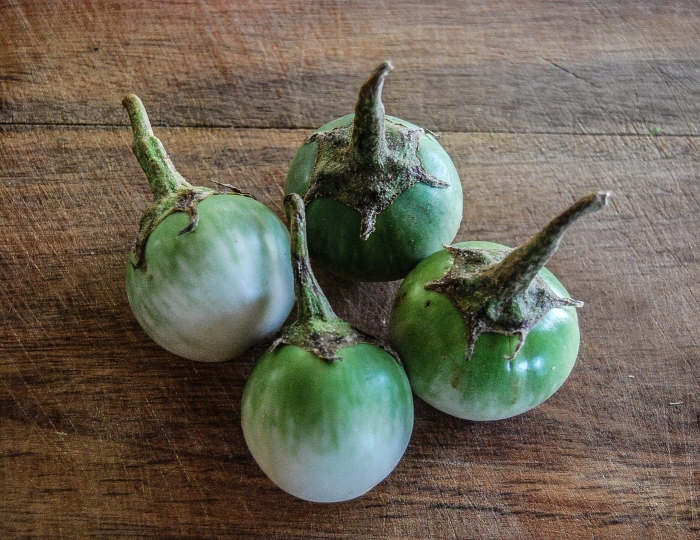 Баклажан зеленый