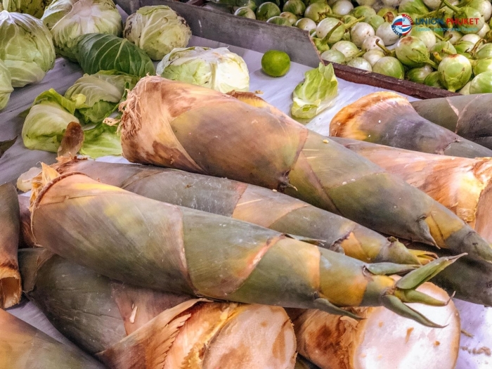 Такеноко побеги бамбука