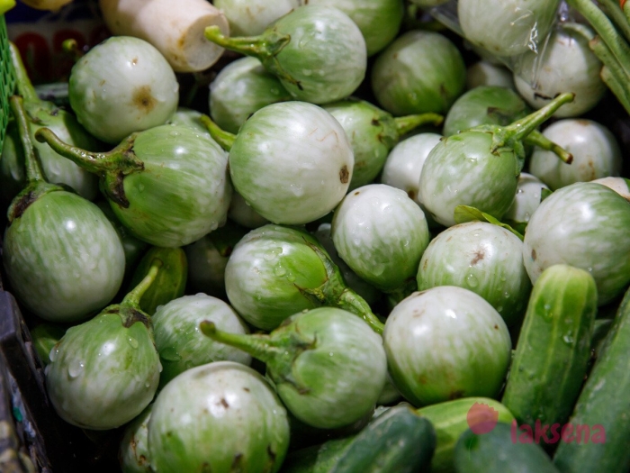 Тайский баклажан