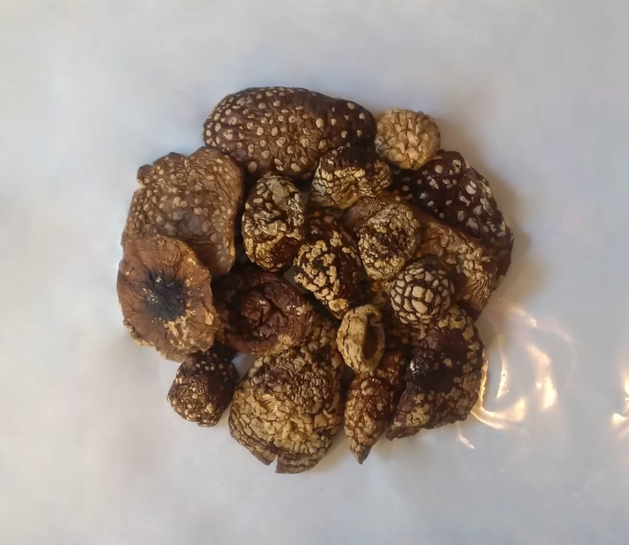 Пантерный мухомор сушеный