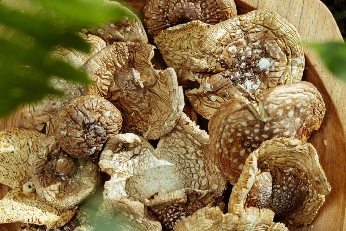 Мухомор сушеный