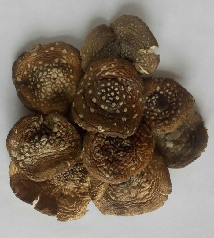 Пантерный мухомор сушеный