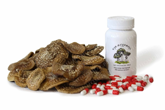 Мухомор пантерный в капсулах