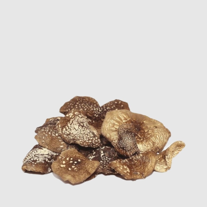 Пантерный мухомор сушеный