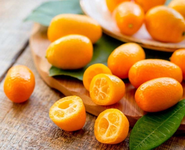 Китайский мандарин кумкват