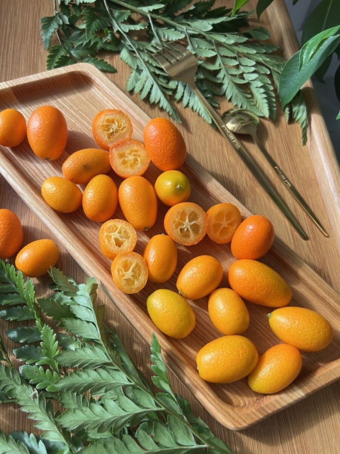 Кумкват золотой апельсин