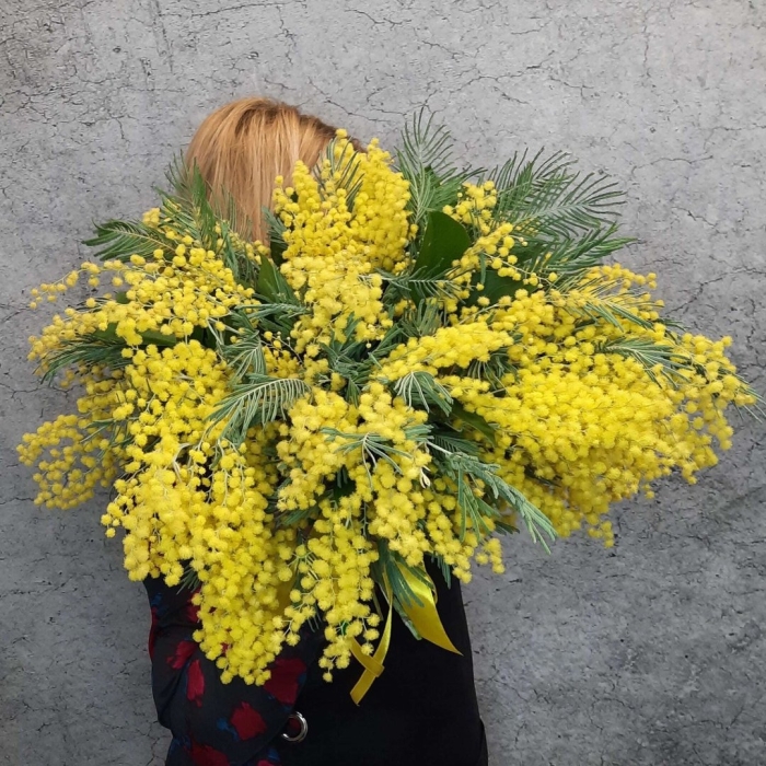 Мимоза 8 марта