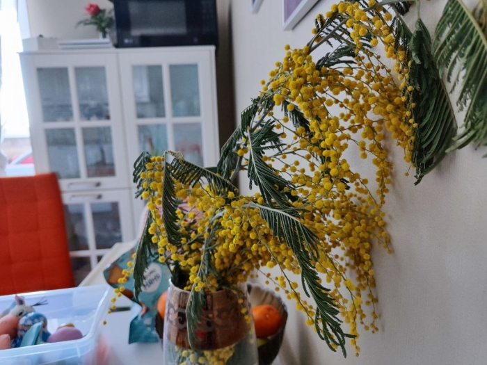 Мимоза букет