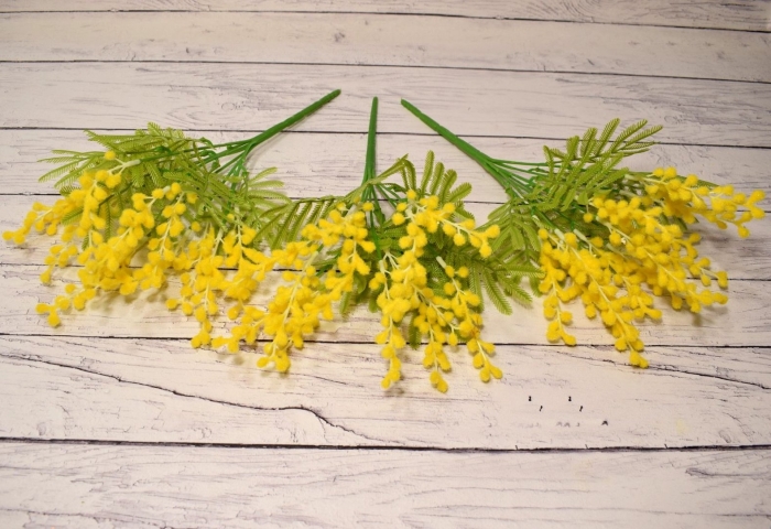 Мимоза куст