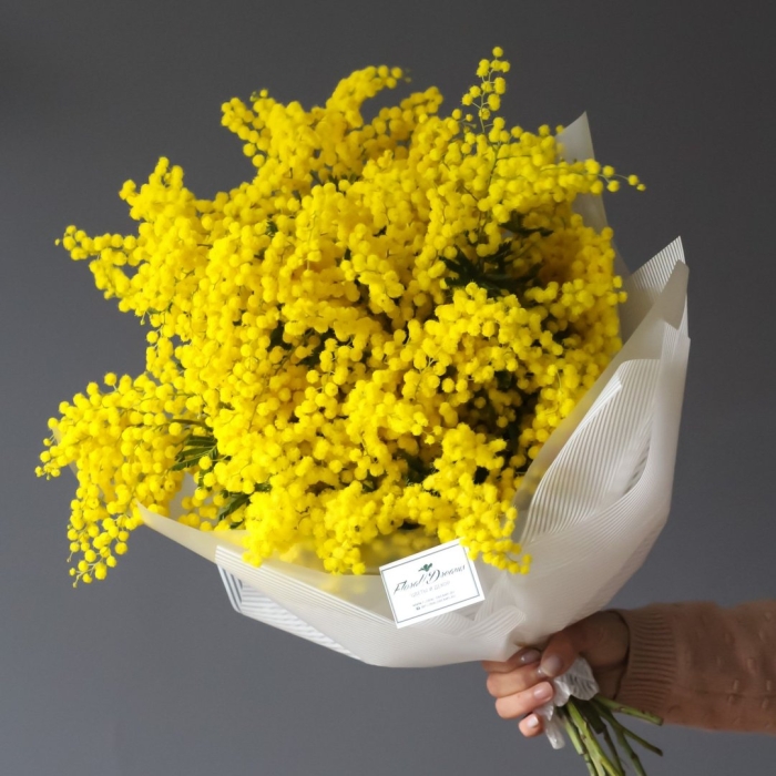 Мимоза монобукет