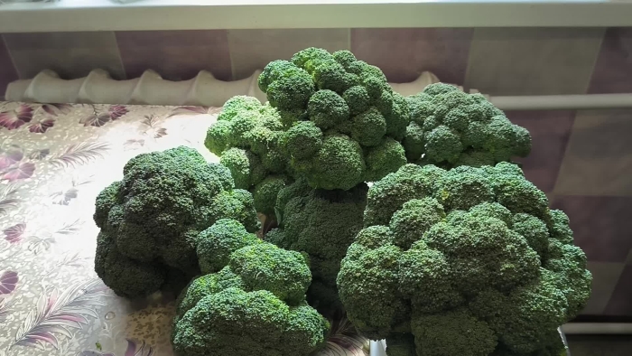 Айронмен капуста брокколи