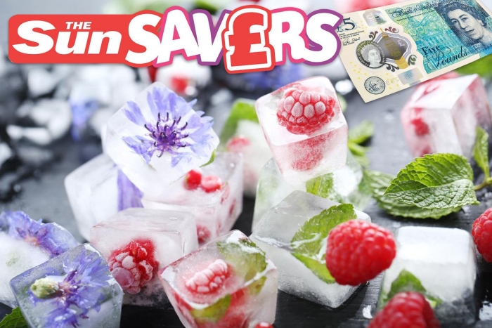 Ягоды во льду