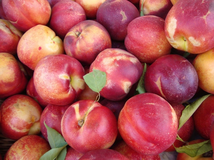 Нектарин роуз диамонд