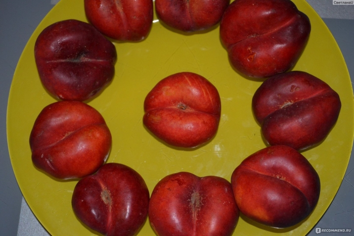 Персик инжирный нектарин