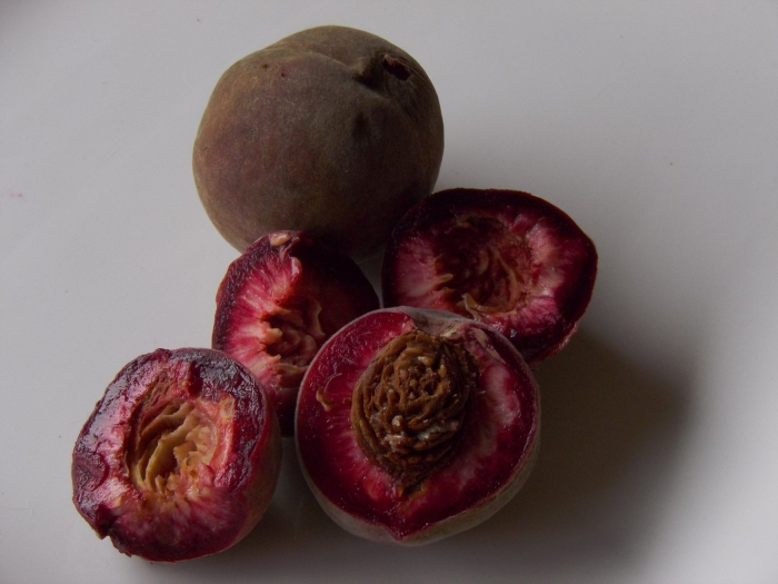 Нектарин черный принц