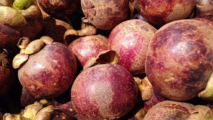 Фрукт фиолетовый