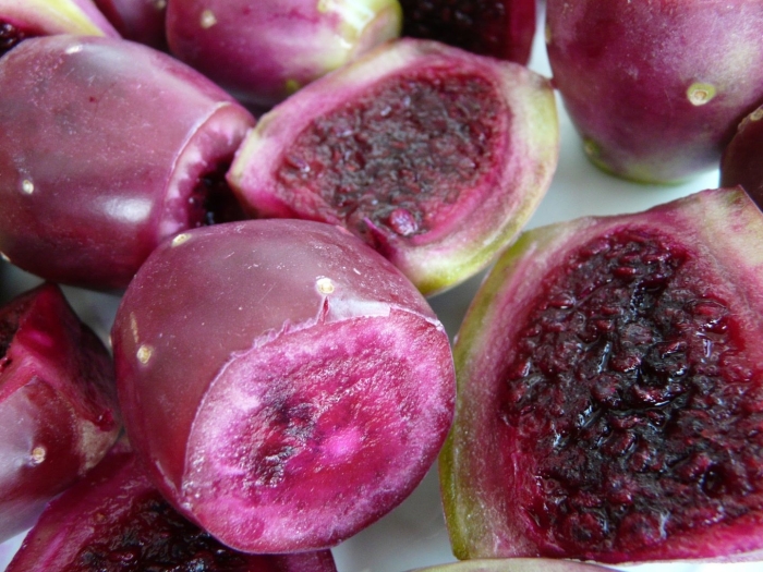 Опунция инжирная съедобная