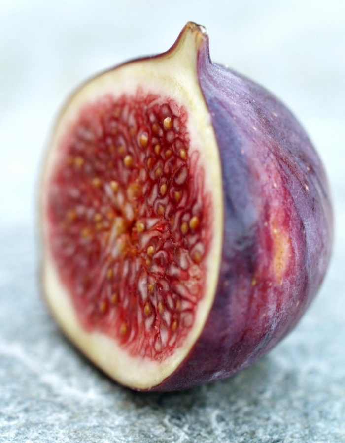 Фрукт инжир