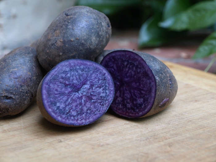 Сорт картофеля перуанский фиолетовый purple peruvian